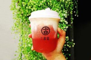 彩经网官网